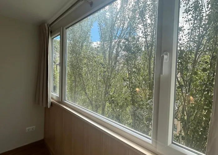 Primavera Premium 2 *